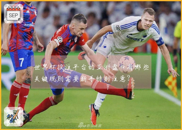 世界杯投注平台的亚洲盘口有哪些关键规则需要新手特别注意？