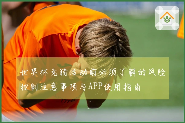 世界杯竞猜活动前必须了解的风险控制注意事项与APP使用指南