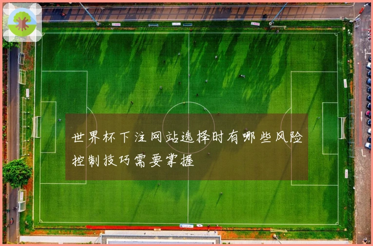 世界杯下注网站选择时有哪些风险控制技巧需要掌握