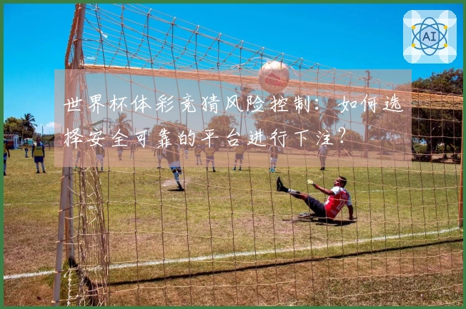 世界杯体彩竞猜风险控制：如何选择安全可靠的平台进行下注？