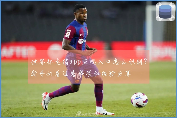 世界杯竞猜app正规入口怎么识别？新手必看注意事项和经验分享