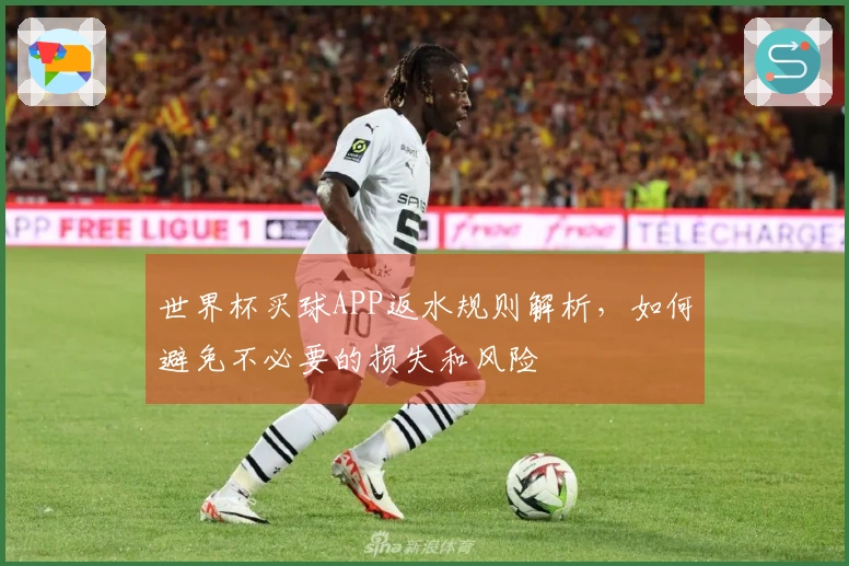 世界杯买球APP返水规则解析，如何避免不必要的损失和风险