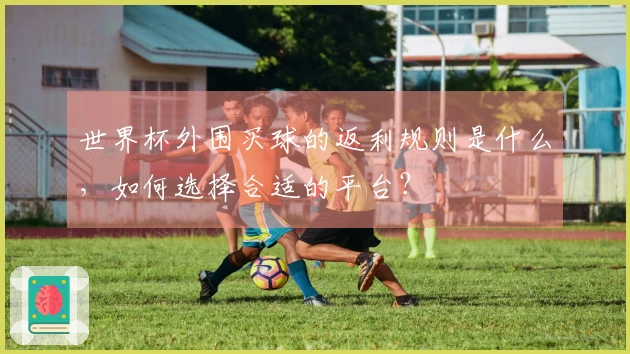 世界杯外围买球的返利规则是什么，如何选择合适的平台？