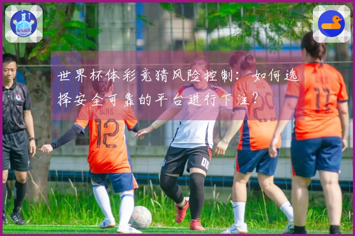 世界杯体彩竞猜风险控制:如何选择安全可靠的平台进行下注?
