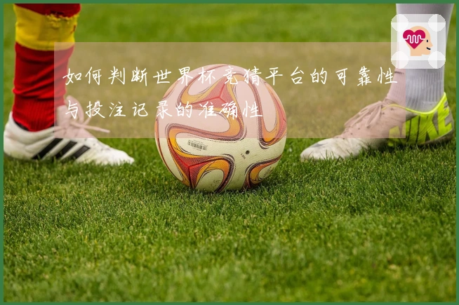 如何判断世界杯竞猜平台的可靠性与投注记录的准确性