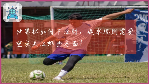 世界杯如何下注时，返水规则需要重点关注哪些方面？