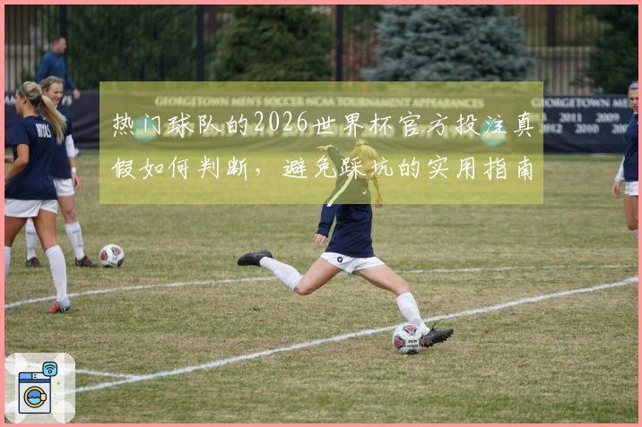 热门球队的2026世界杯官方投注真假如何判断，避免踩坑的实用指南