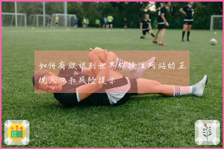 如何有效识别世界杯投注网站的正规入口和风险提示