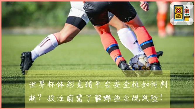 世界杯体彩竞猜平台安全性如何判断？投注前需了解哪些合规风险！