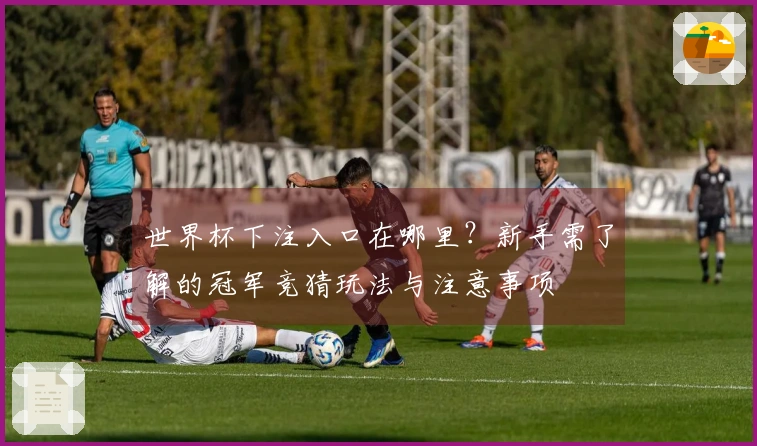 世界杯下注入口在哪里?新手需了解的冠军竞猜玩法与注意事项