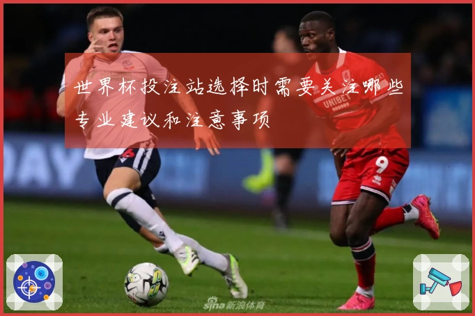 世界杯投注站选择时需要关注哪些专业建议和注意事项