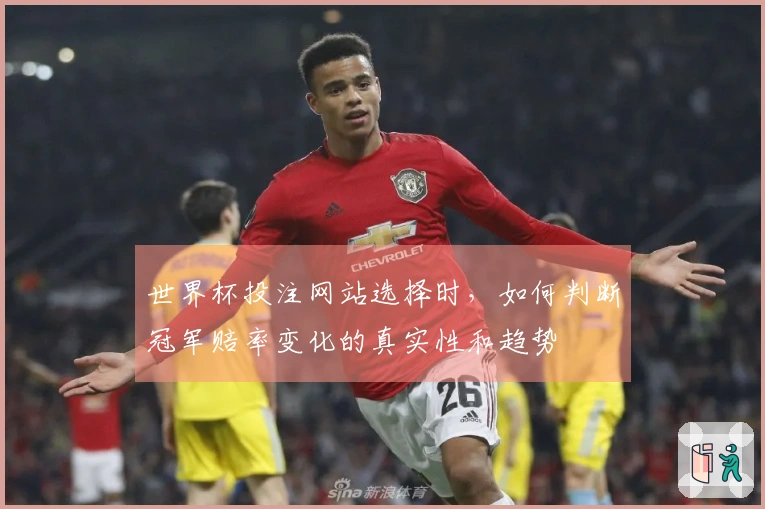 世界杯投注网站选择时，如何判断冠军赔率变化的真实性和趋势