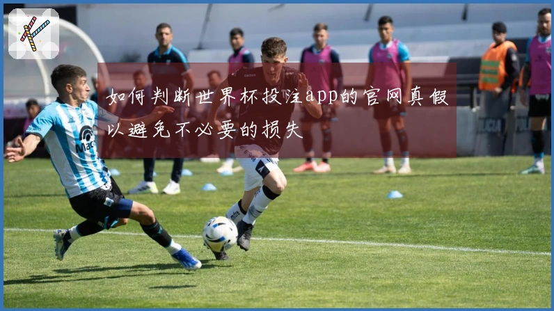 如何判断世界杯投注app的官网真假以避免不必要的损失