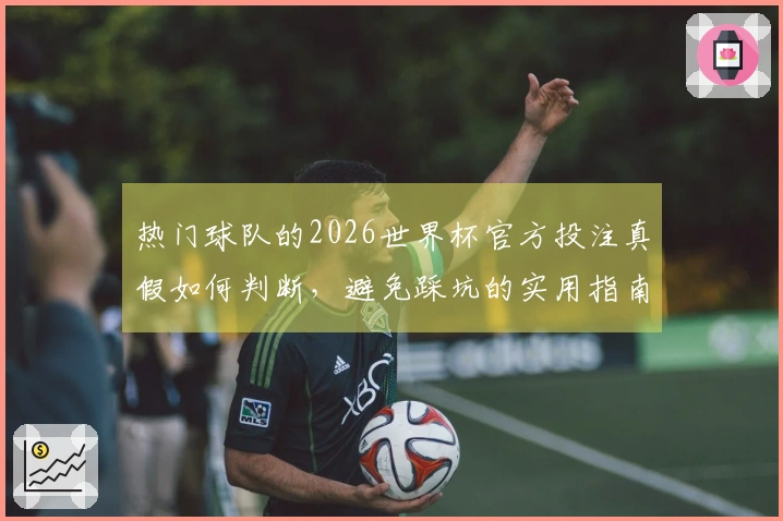 热门球队的2026世界杯官方投注真假如何判断，避免踩坑的实用指南