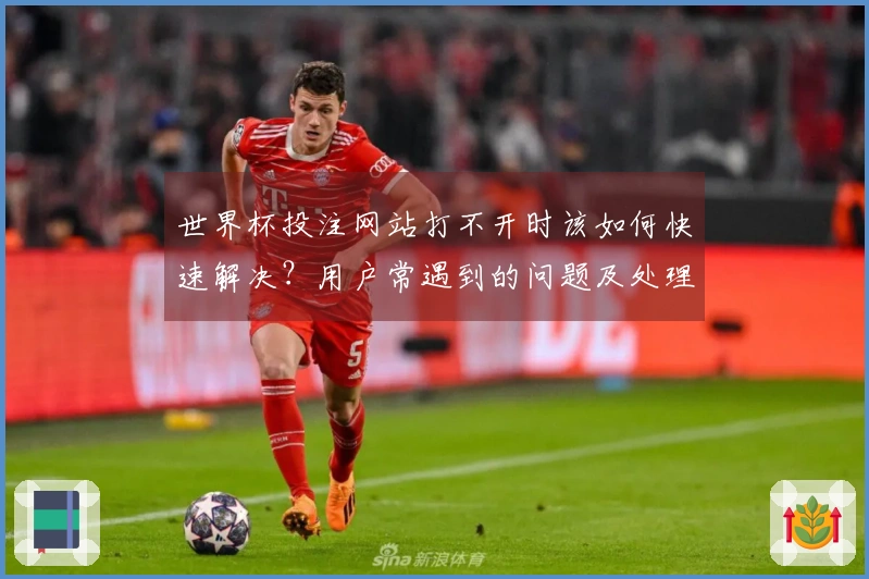 世界杯投注网站打不开时该如何快速解决？用户常遇到的问题及处理方案