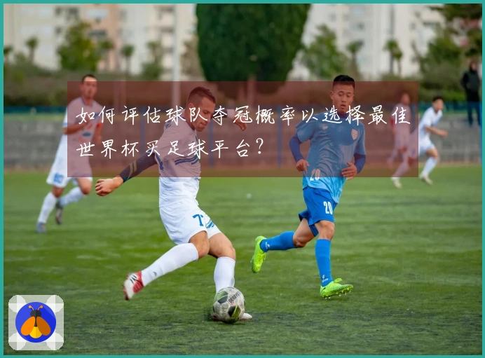 如何评估球队夺冠概率以选择最佳世界杯买足球平台？