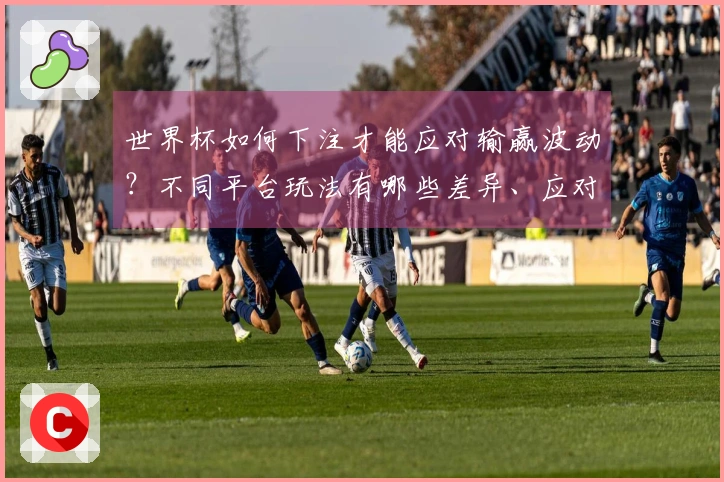 世界杯如何下注才能应对输赢波动？不同平台玩法有哪些差异、应对技巧解析
