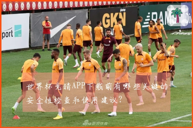 世界杯竞猜APP下载前有哪些关键的安全性检查和使用建议?