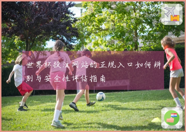世界杯投注网站的正规入口如何辨别与安全性评估指南