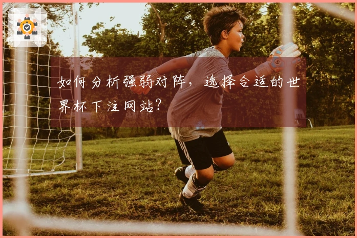 如何分析强弱对阵，选择合适的世界杯下注网站？