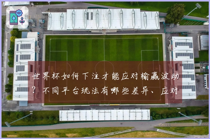 世界杯如何下注才能应对输赢波动？不同平台玩法有哪些差异、应对技巧解析