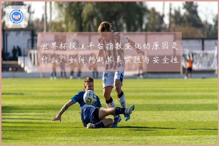 世界杯投注平台指数变化的原因是什么？如何判断其真实性与安全性？