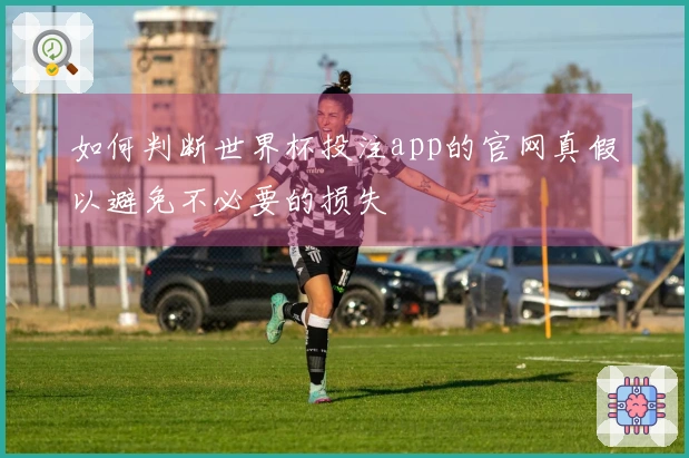 如何判断世界杯投注app的官网真假以避免不必要的损失