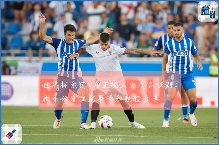 世界杯竞猜app正规入口怎么识别?新手必看注意事项和经验分享