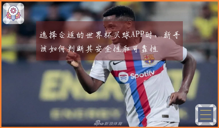 选择合适的世界杯买球APP时，新手该如何判断其安全性和可靠性