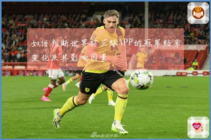 如何判断世界杯买球APP的冠军赔率变化及其影响因素